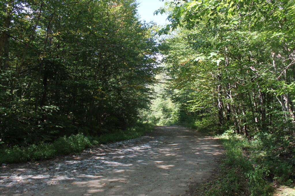 Photo: Rock Dam Road Photo: Rock Dam Road