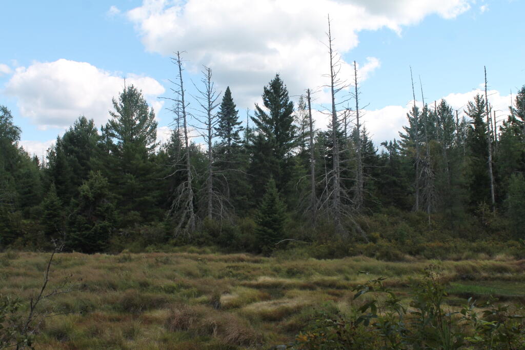 Photo: Red River Valley Photo: Red River Valley