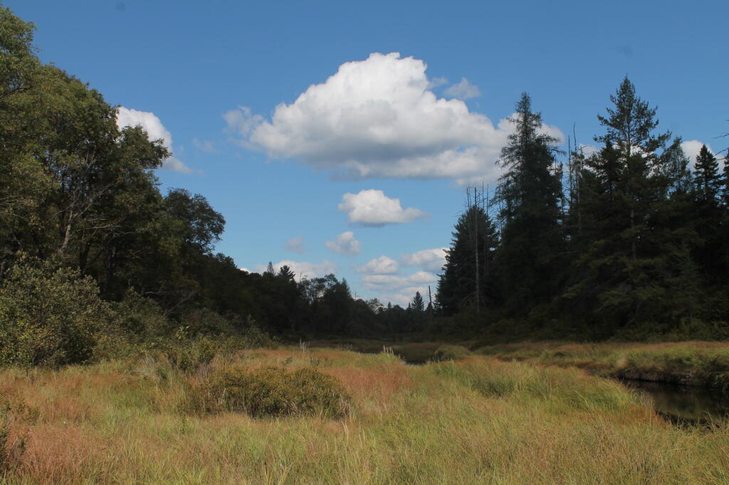 Photo: Clouds Photo: Clouds