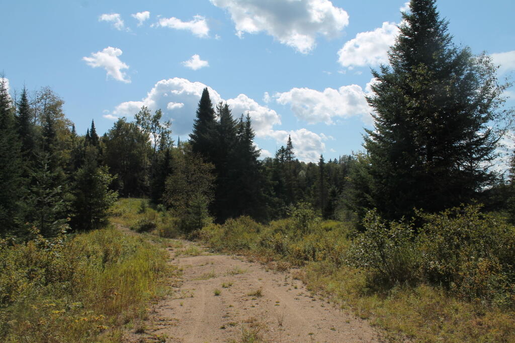 Photo: Walking Along Now Closed Portion of Indian Lake Road Photo: Walking Along Now Closed Portion of Indian Lake Road