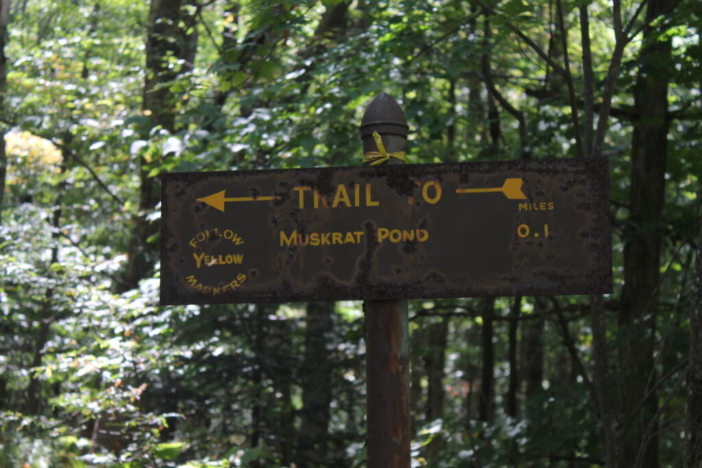 Photo: To Muskrat Pond Photo: To Muskrat Pond
