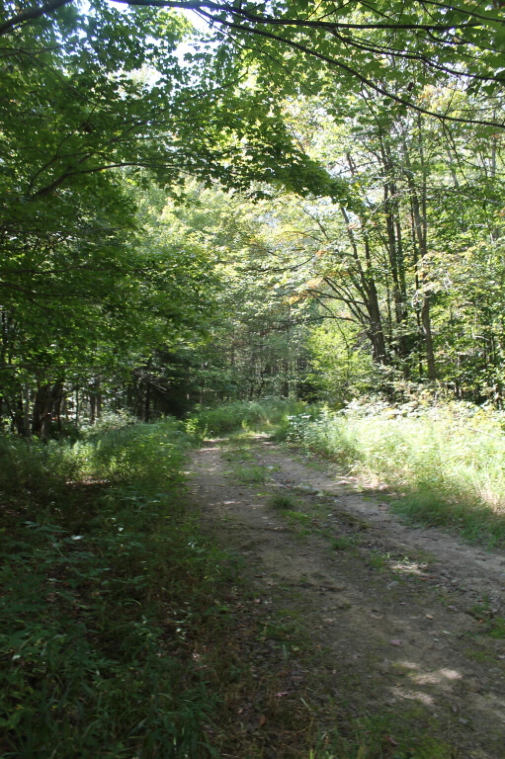 Photo: Former Indian Lake Road Photo: Former Indian Lake Road