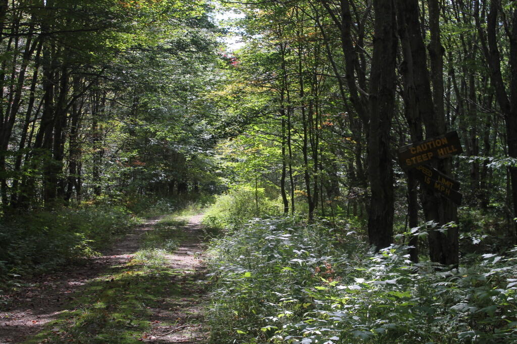 Photo: Along Indian Lake Road Photo: Along Indian Lake Road