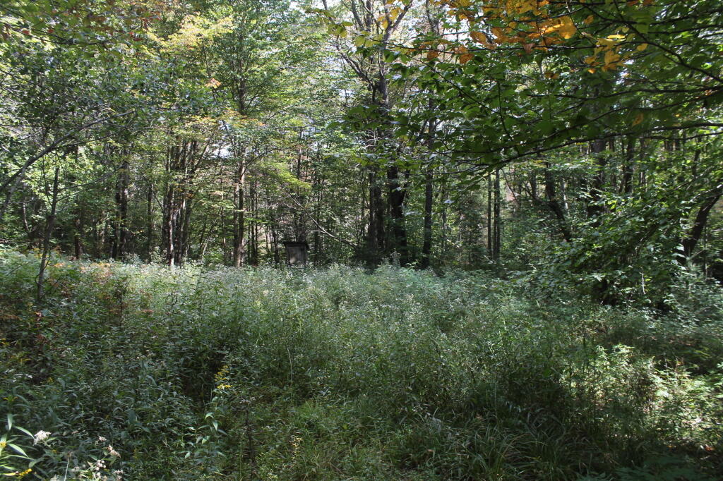 Photo: Former Campsite 137 Photo: Former Campsite 137