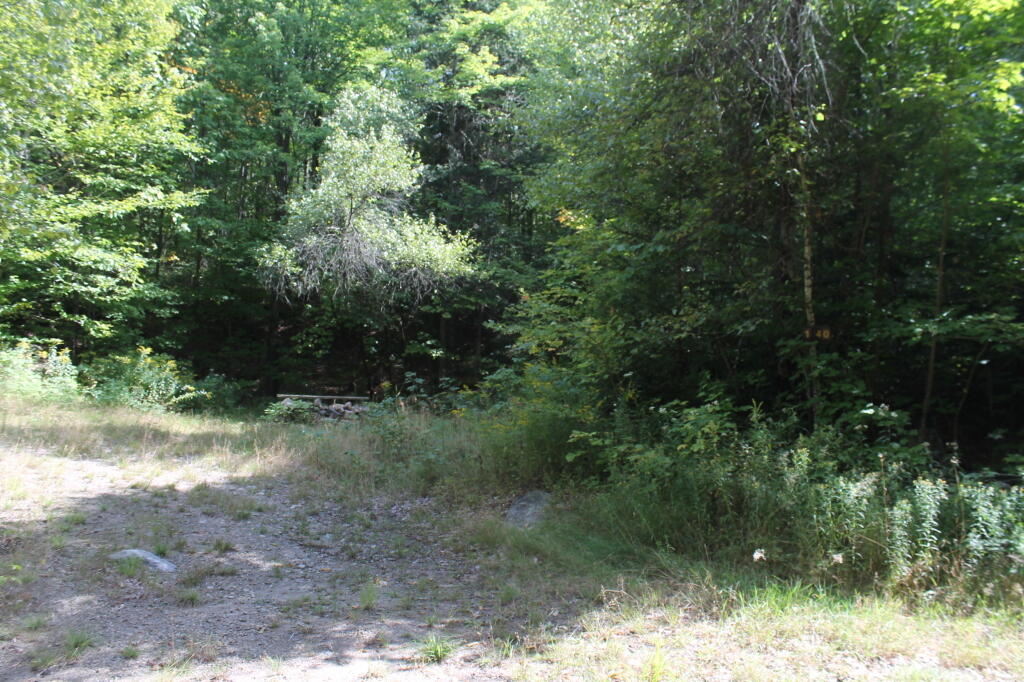 Photo: Campsite 137 at End of Former Indian Lake Road Photo: Campsite 137 at End of Former Indian Lake Road