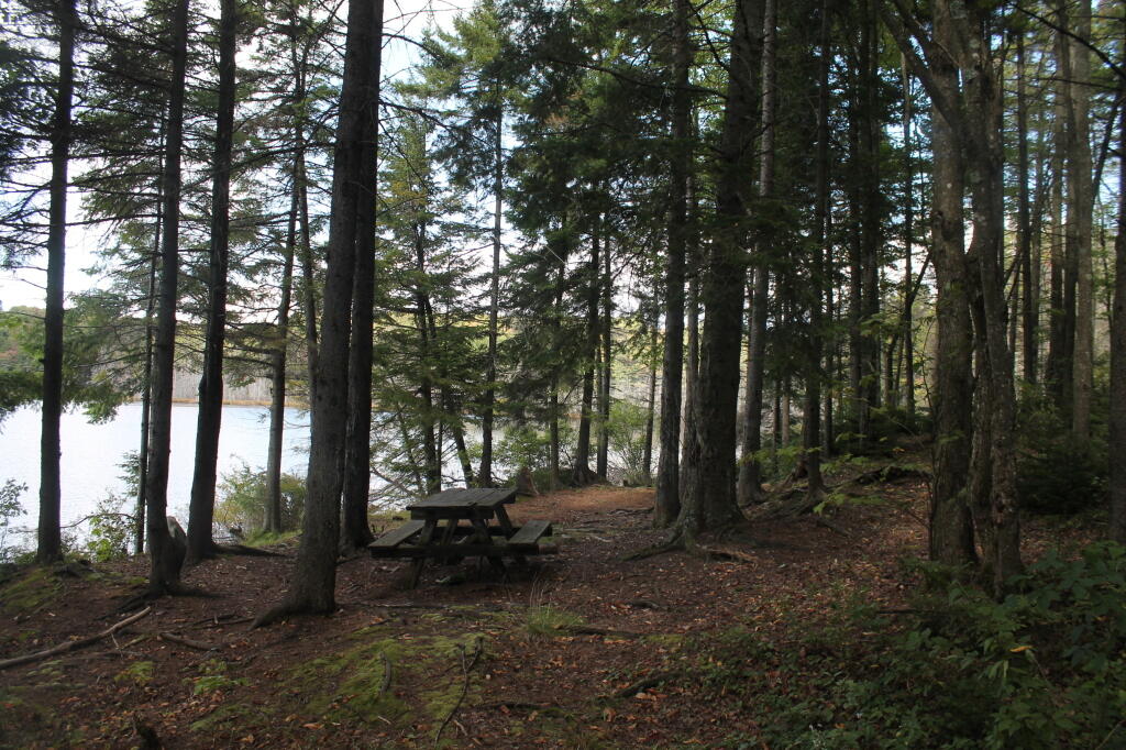 Photo: Picnic Table at Indian Lake Photo: Picnic Table at Indian Lake