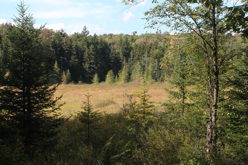 Photo: Untitled Photo: Untitled