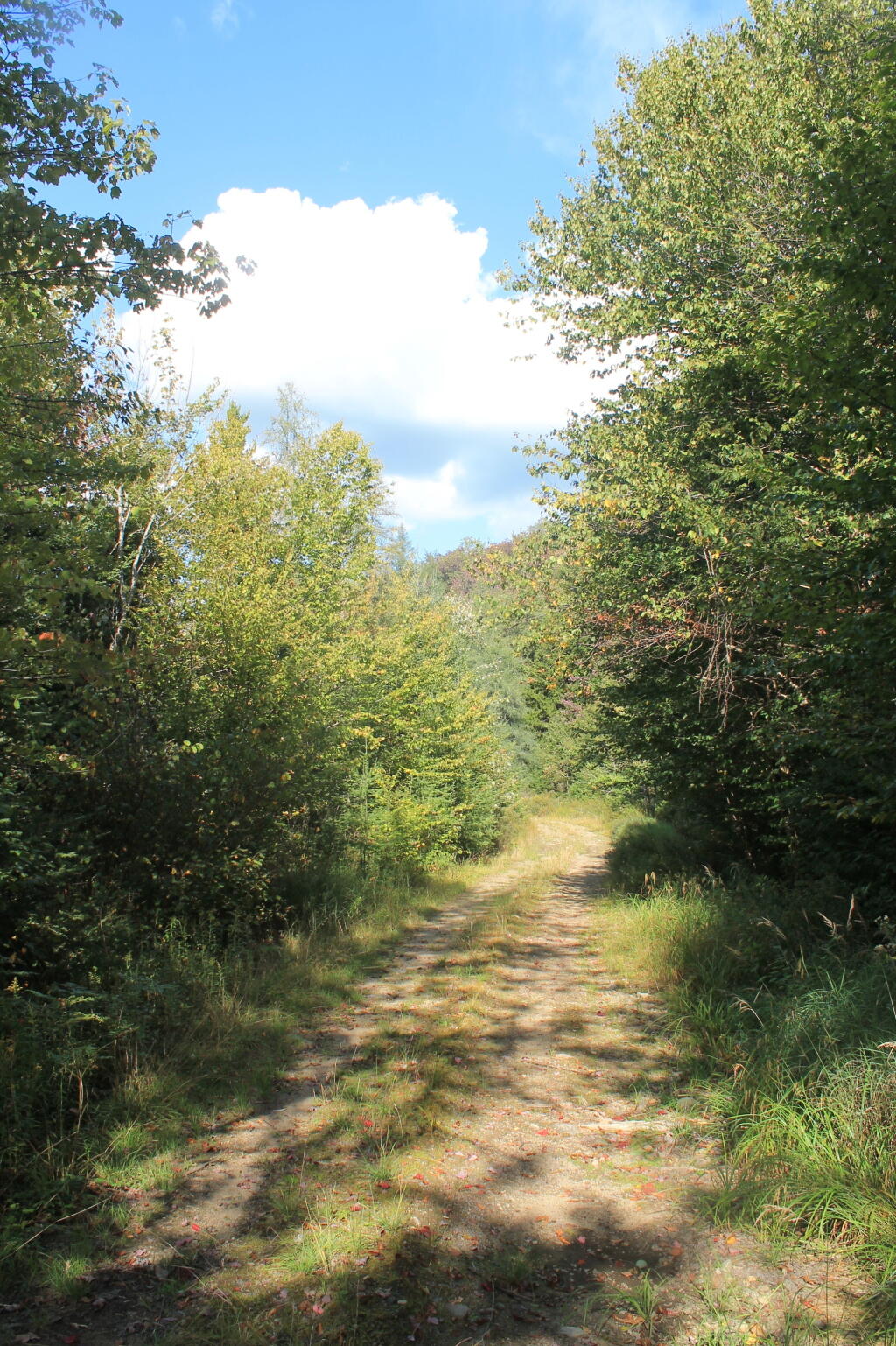Photo: Former Indian Lake Road Photo: Former Indian Lake Road