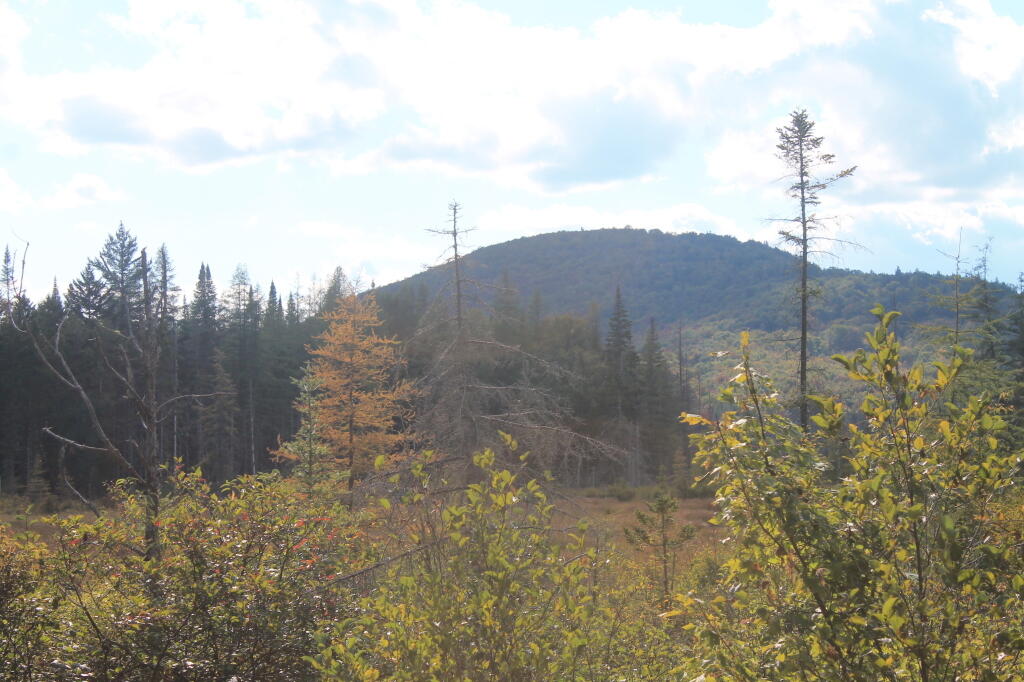 Photo: Indian Lake Mountain Photo: Indian Lake Mountain