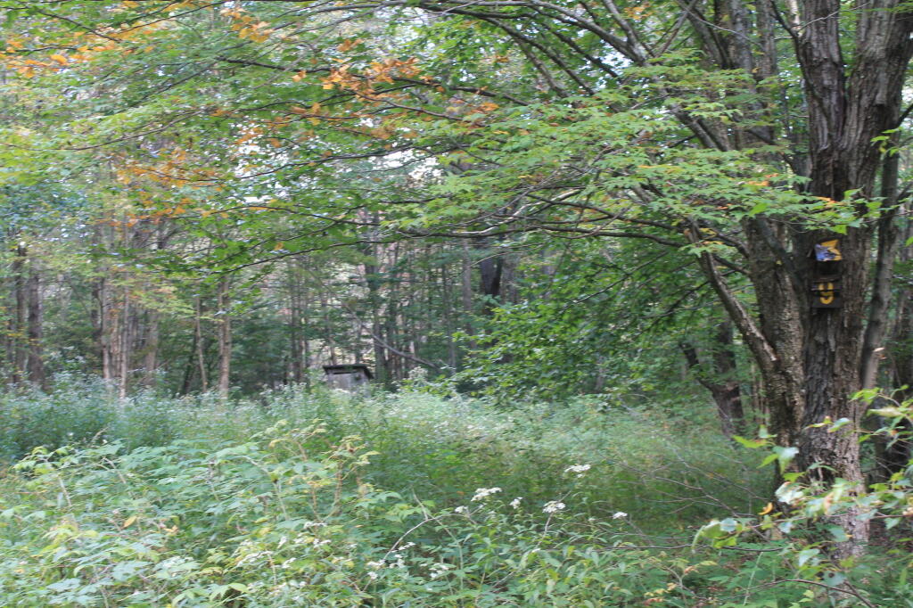 Photo: Campsite 139 Photo: Campsite 139