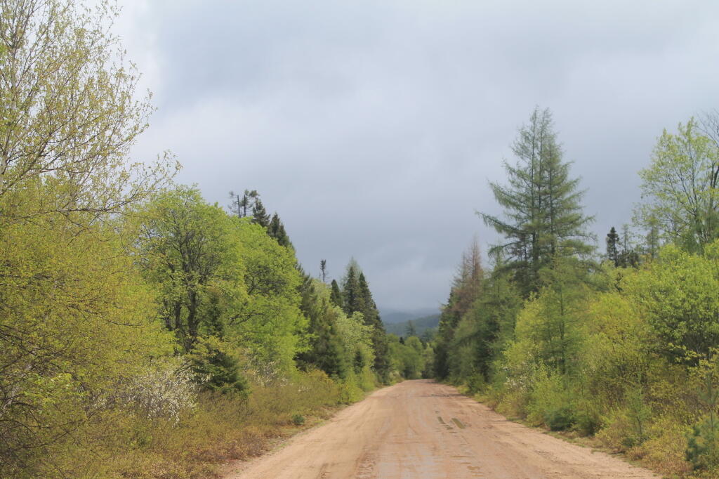 Photo: Showers Proceed East Photo: Showers Proceed East
