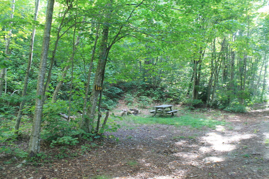 Photo: Campsite By Squaw Lake Photo: Campsite By Squaw Lake