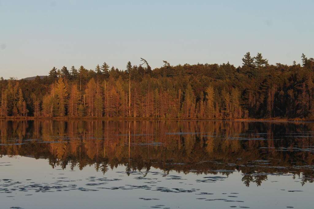 Photo: Reflections Photo: Reflections