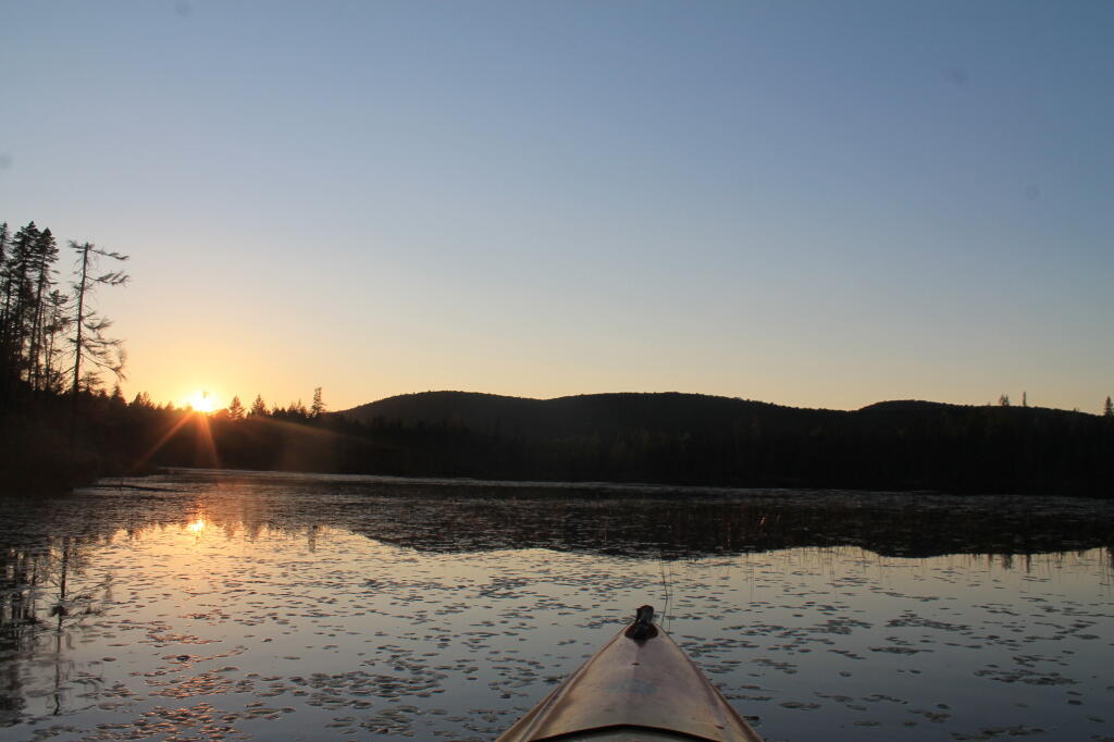 Photo: Untitled Photo: Untitled