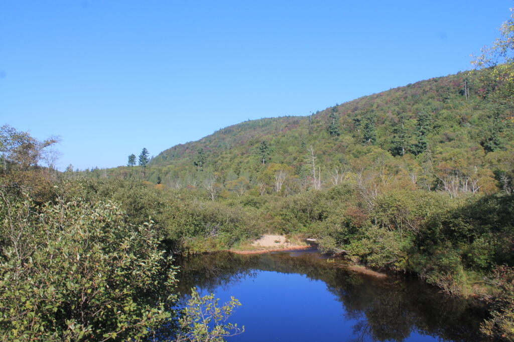 Photo: Summer Stream and Mitchells Pond Mountain Behind It Photo: Summer Stream and Mitchells Pond Mountain Behind It