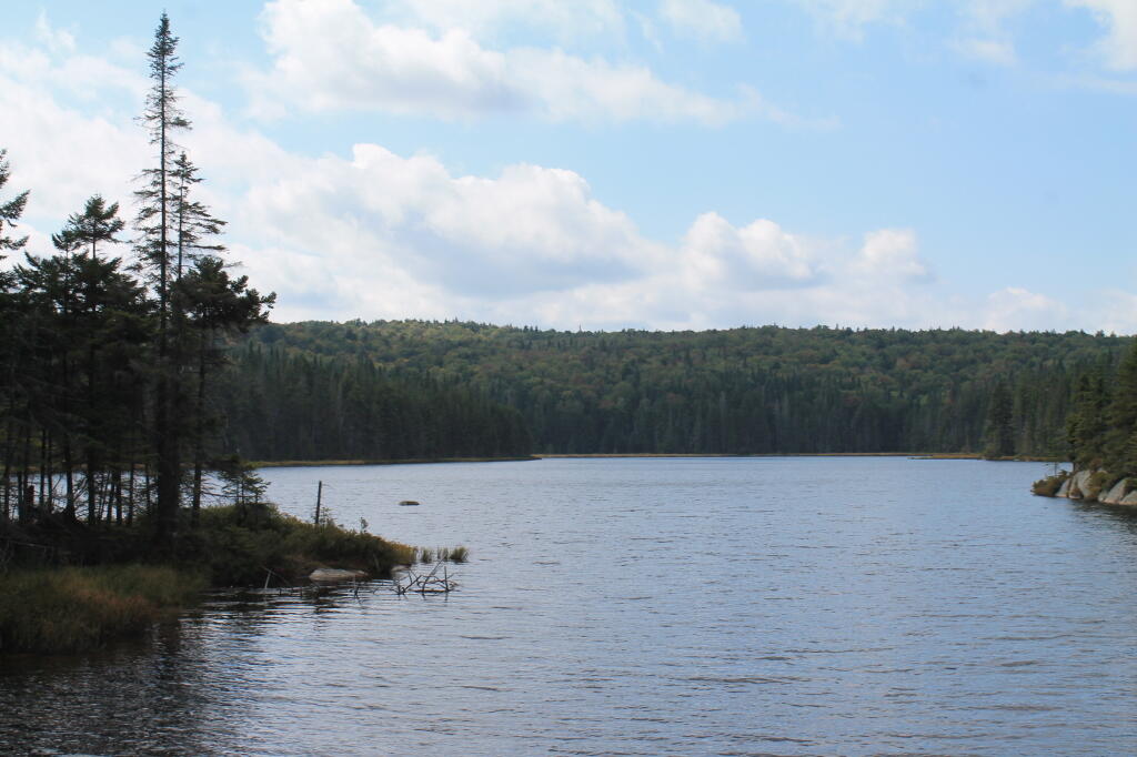 Photo: Falls Pond Photo: Falls Pond