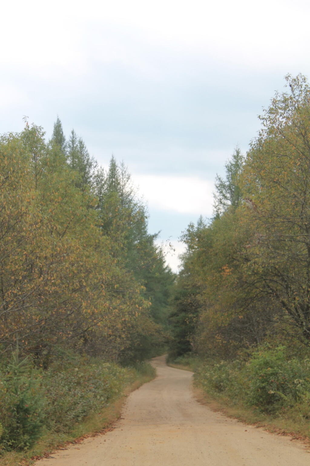 Photo: Otter Brook Road Photo: Otter Brook Road