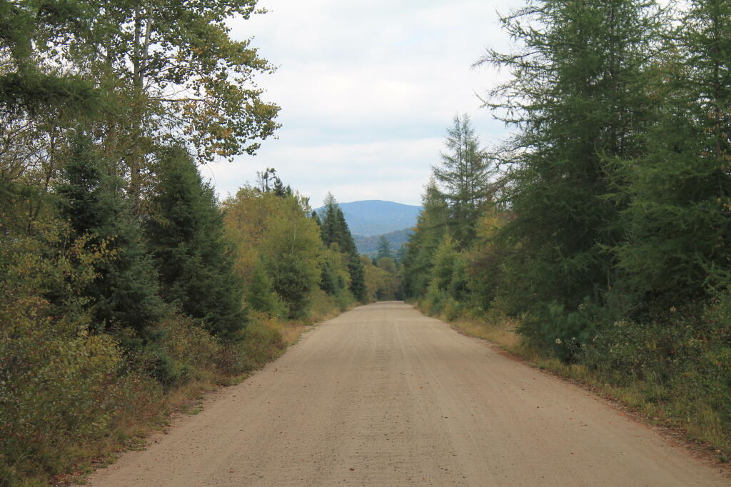 Photo: Cedar River-Limekiln Lake Road Photo: Cedar River-Limekiln Lake Road