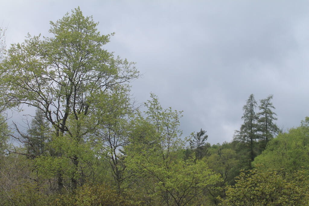 Photo: Photo.2013.05.26 13.55.03 Photo: Photo.2013.05.26 13.55.03