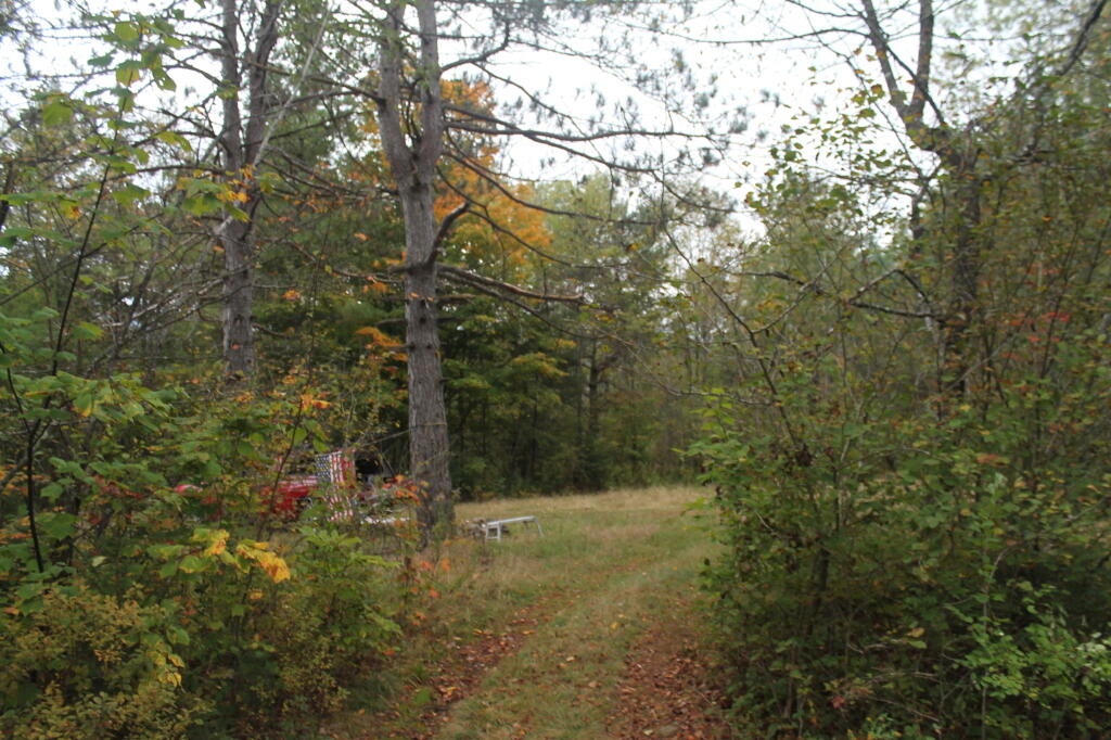Photo: Campsite Photo: Campsite