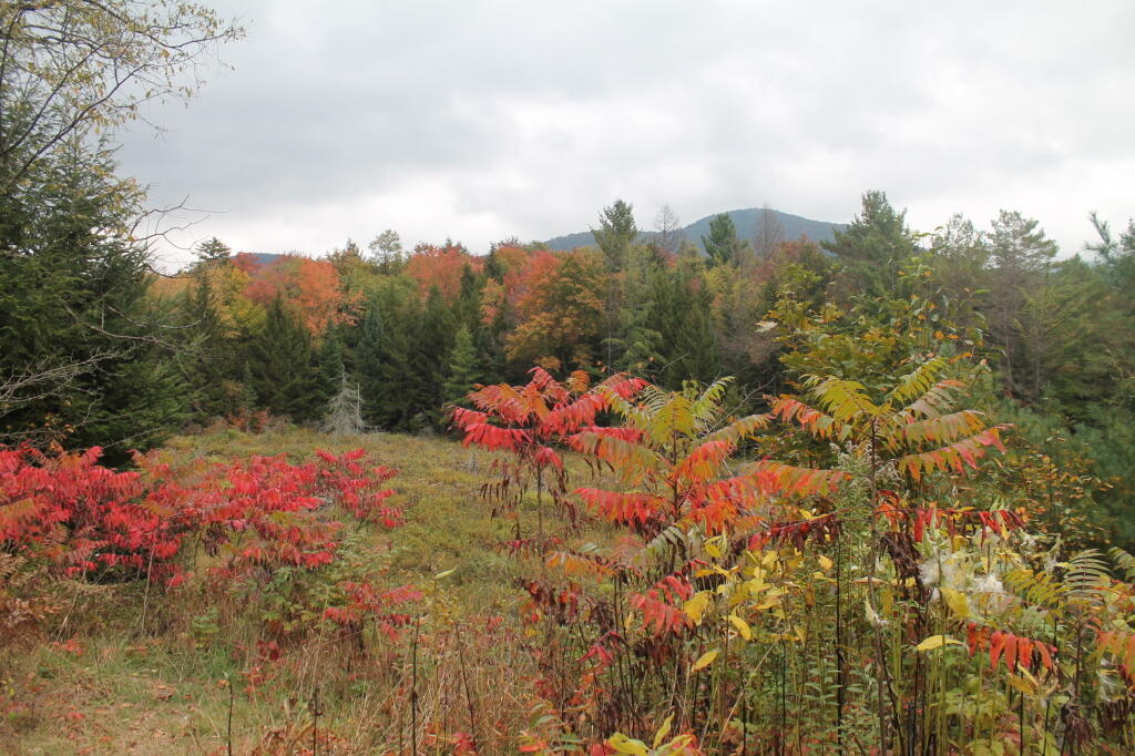 Photo: Round Top Mountain Photo: Round Top Mountain
