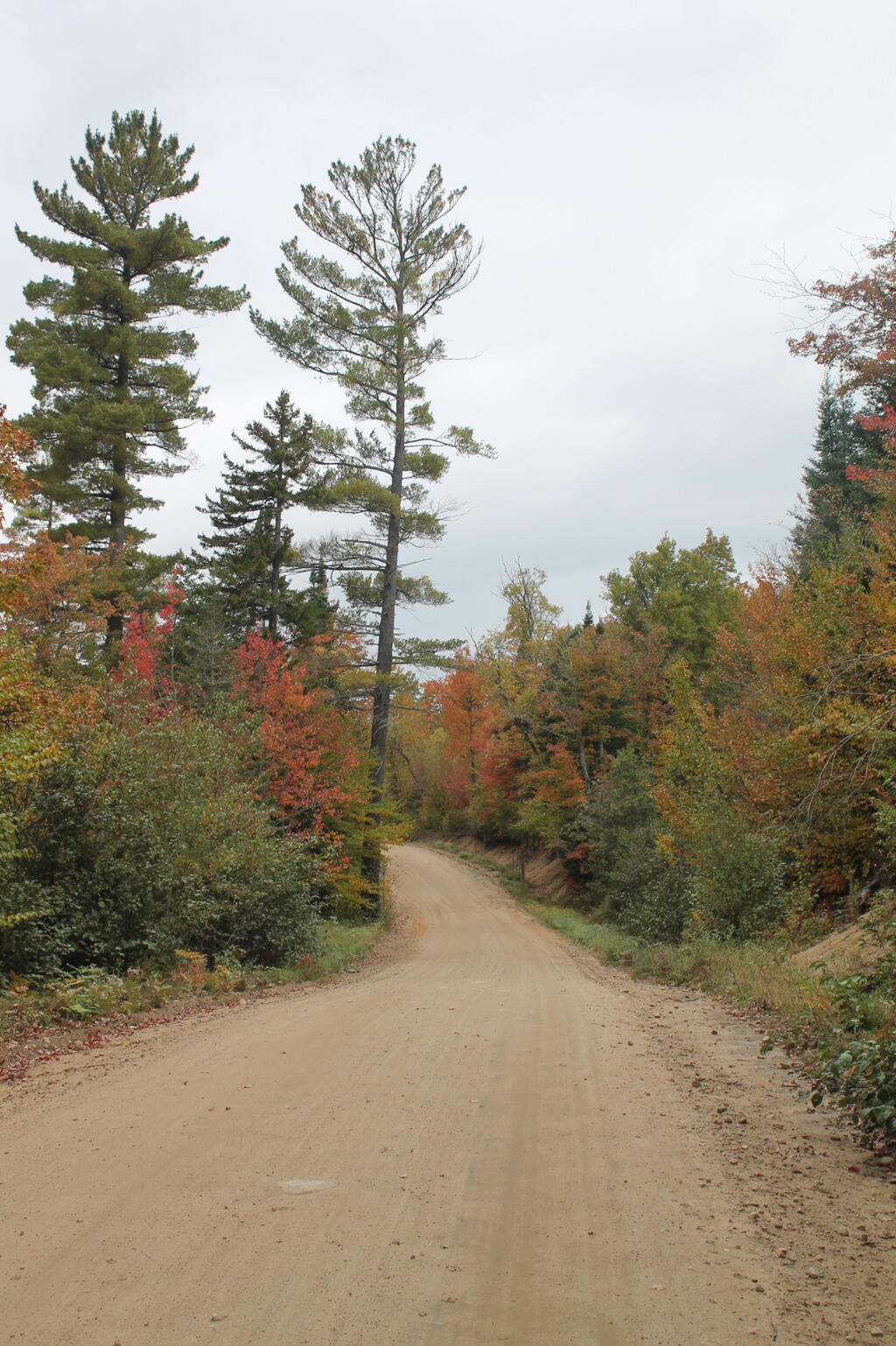 Photo: Jessup River Road Photo: Jessup River Road