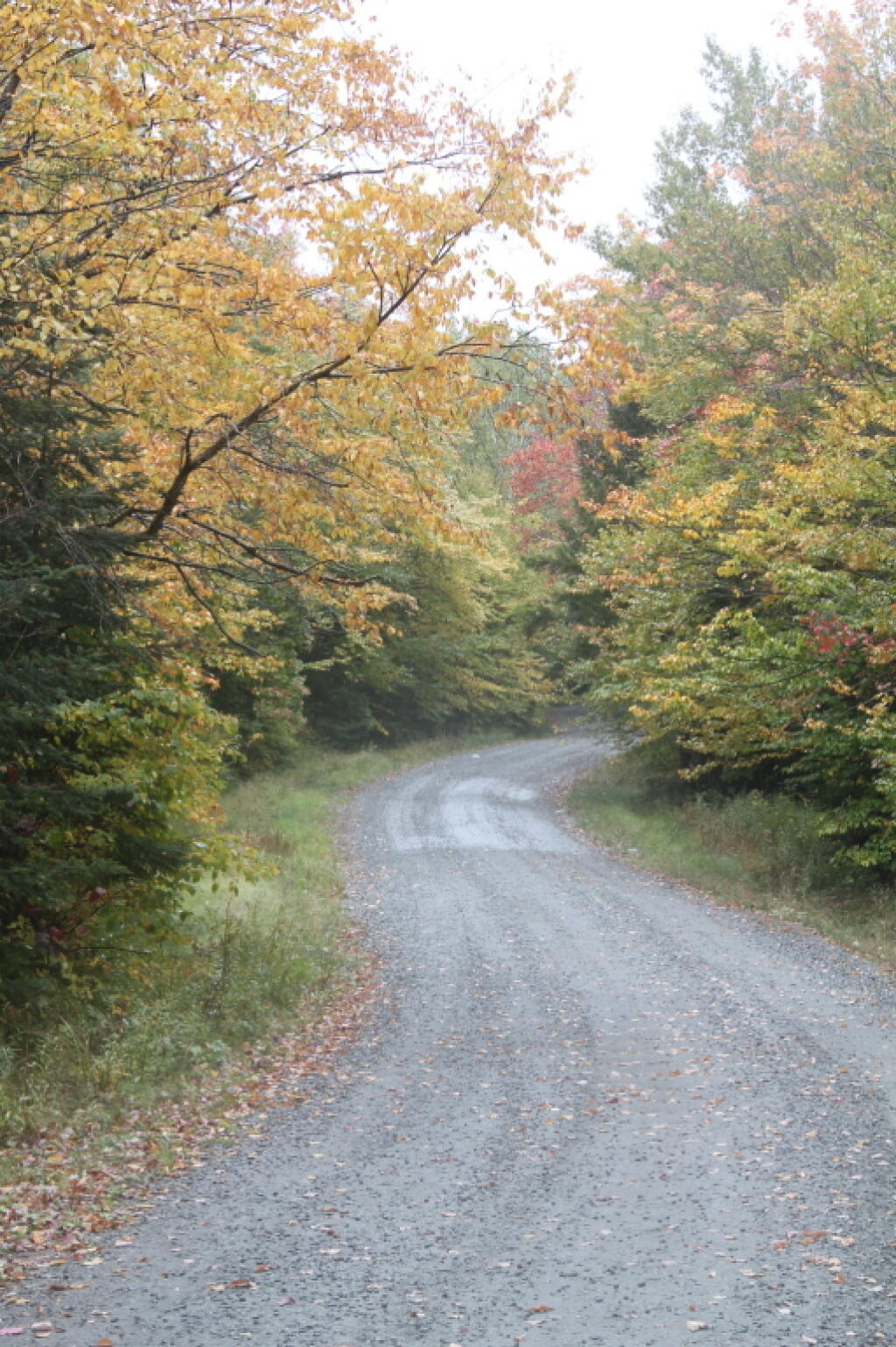 Photo: Moose River Road Winds Up Sturges Hill Photo: Moose River Road Winds Up Sturges Hill