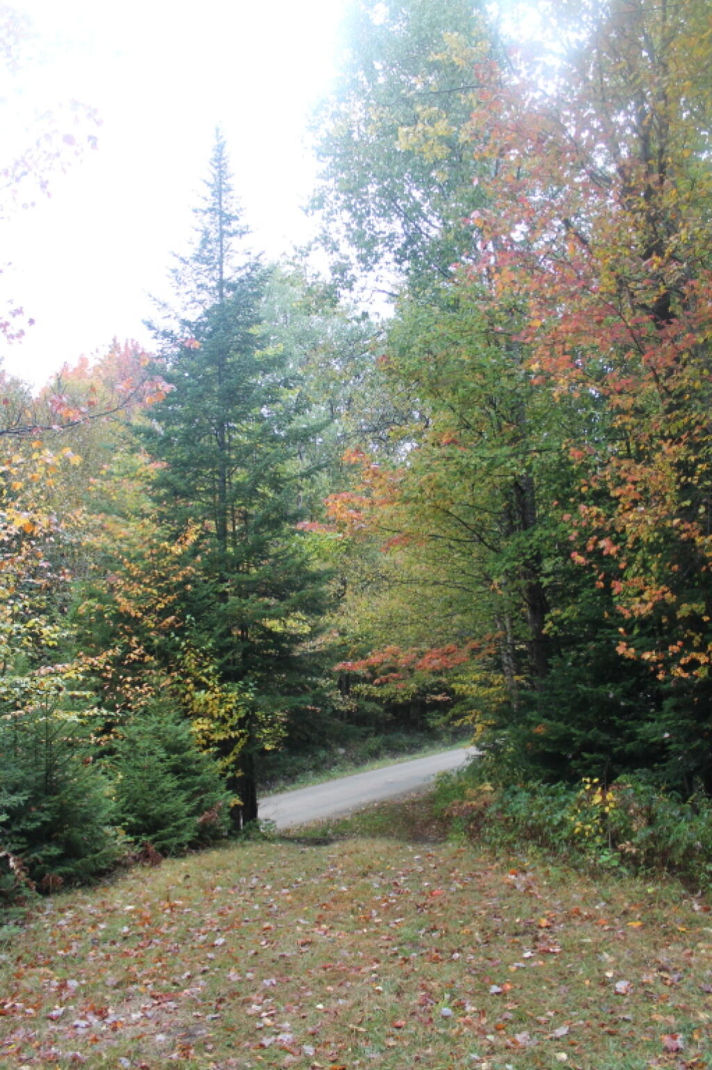 Photo: Moose Road from the Campsite Photo: Moose Road from the Campsite