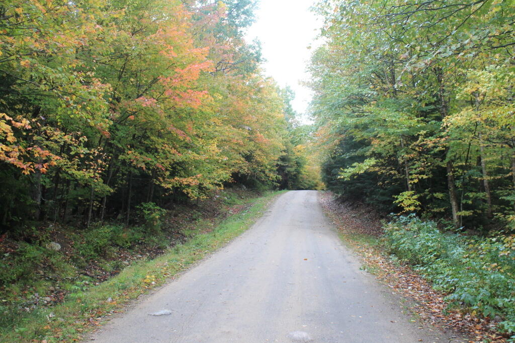 Photo: Untitled Photo: Untitled