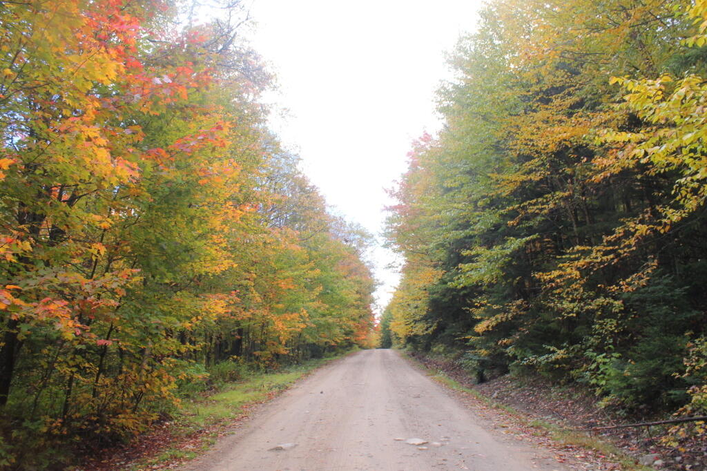Photo: Untitled Photo: Untitled