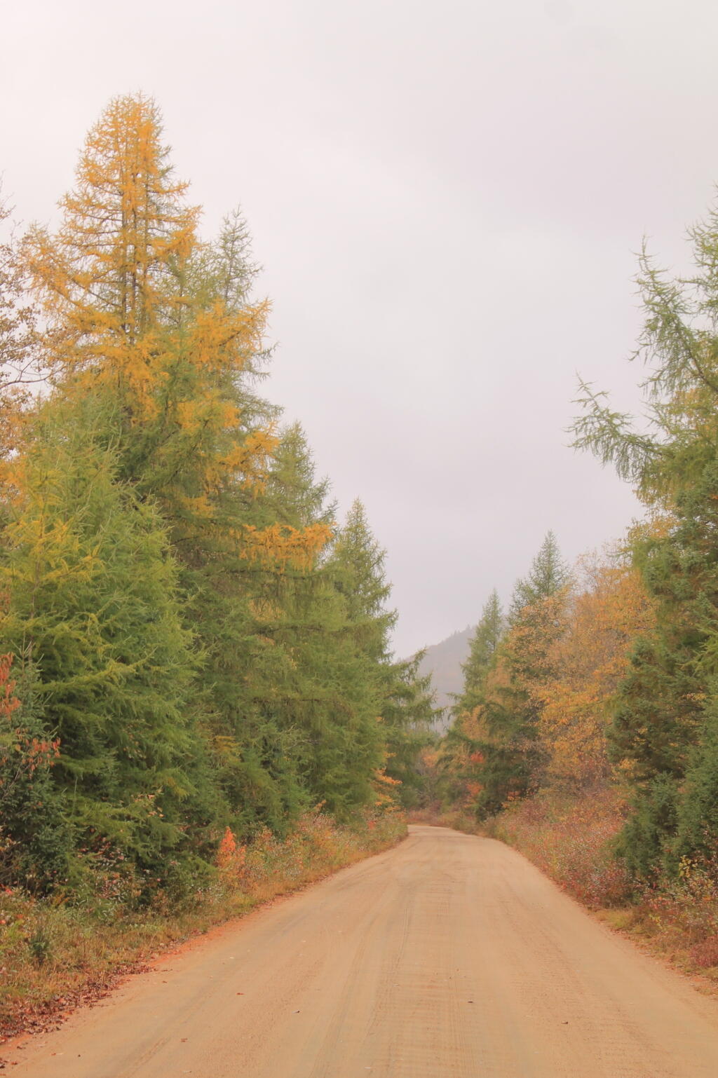 Photo: Untitled Photo: Untitled