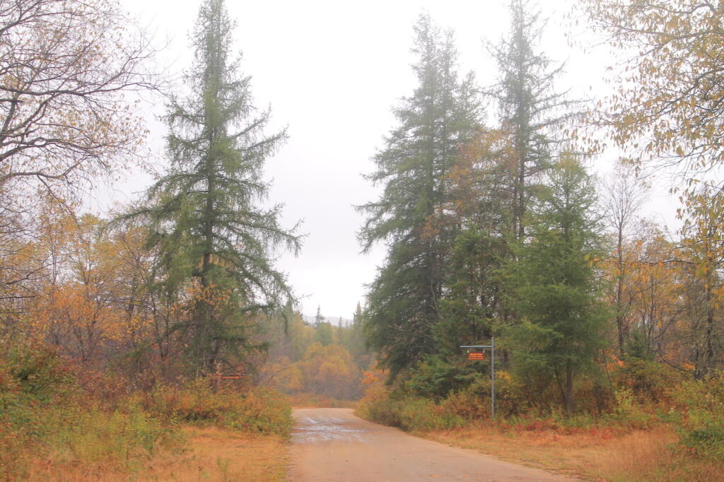 Photo: Otter Brook Road Photo: Otter Brook Road