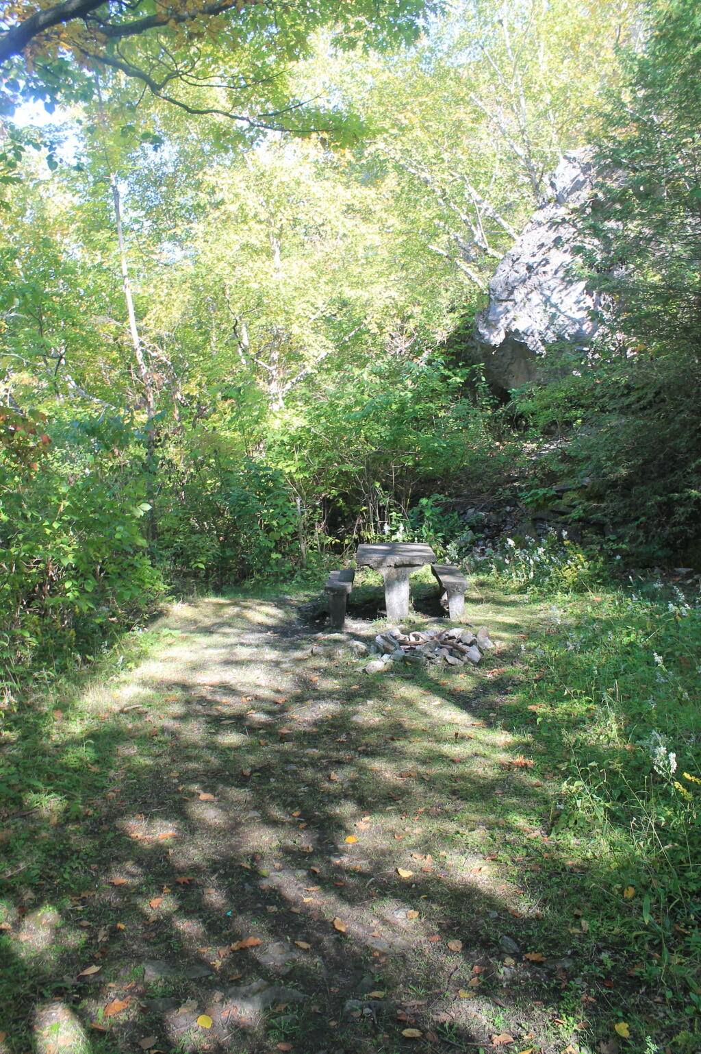 Photo: Picnic Area Photo: Picnic Area