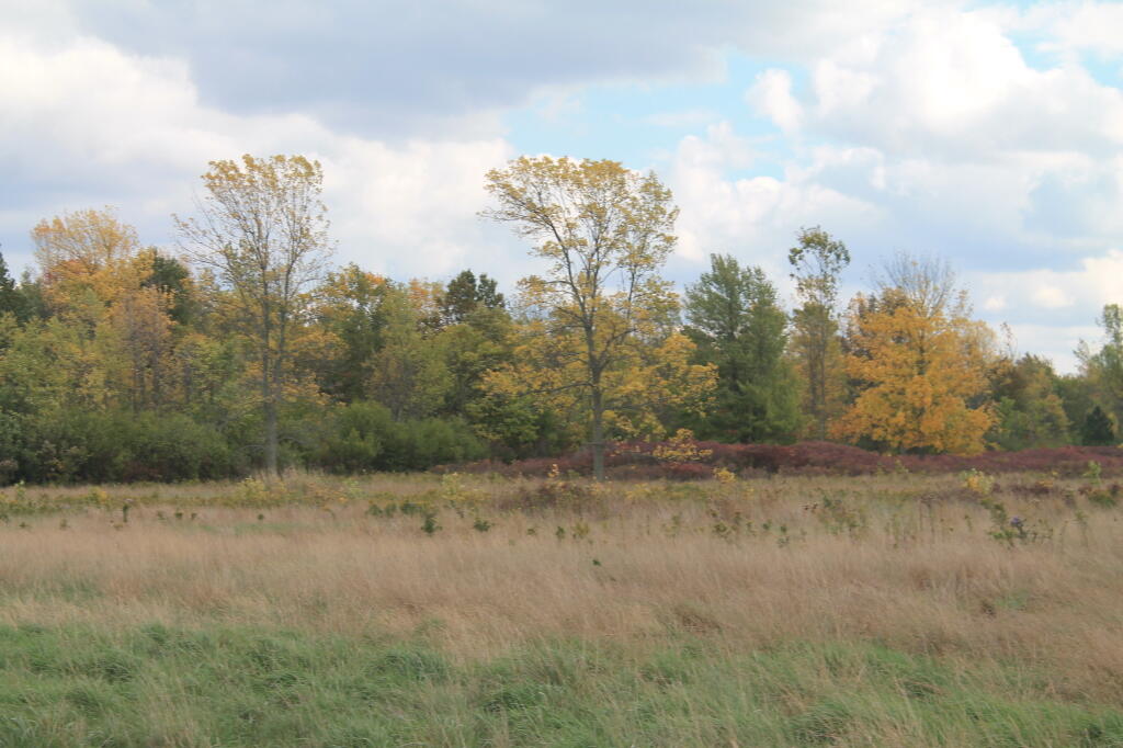 Photo: Fall Fading Fast Photo: Fall Fading Fast