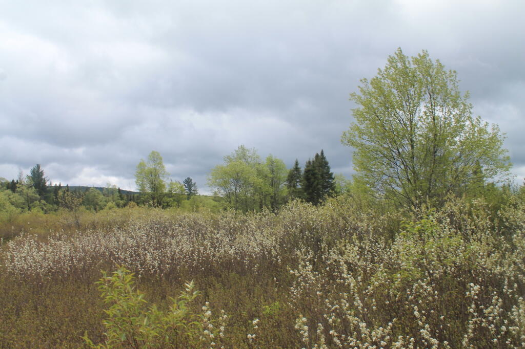 Photo: Photo.2013.05.26 13.57.33 Photo: Photo.2013.05.26 13.57.33
