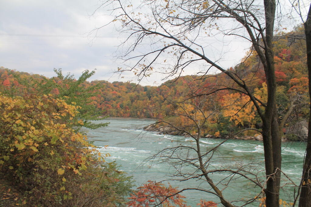 Photo: Niagara River Photo: Niagara River