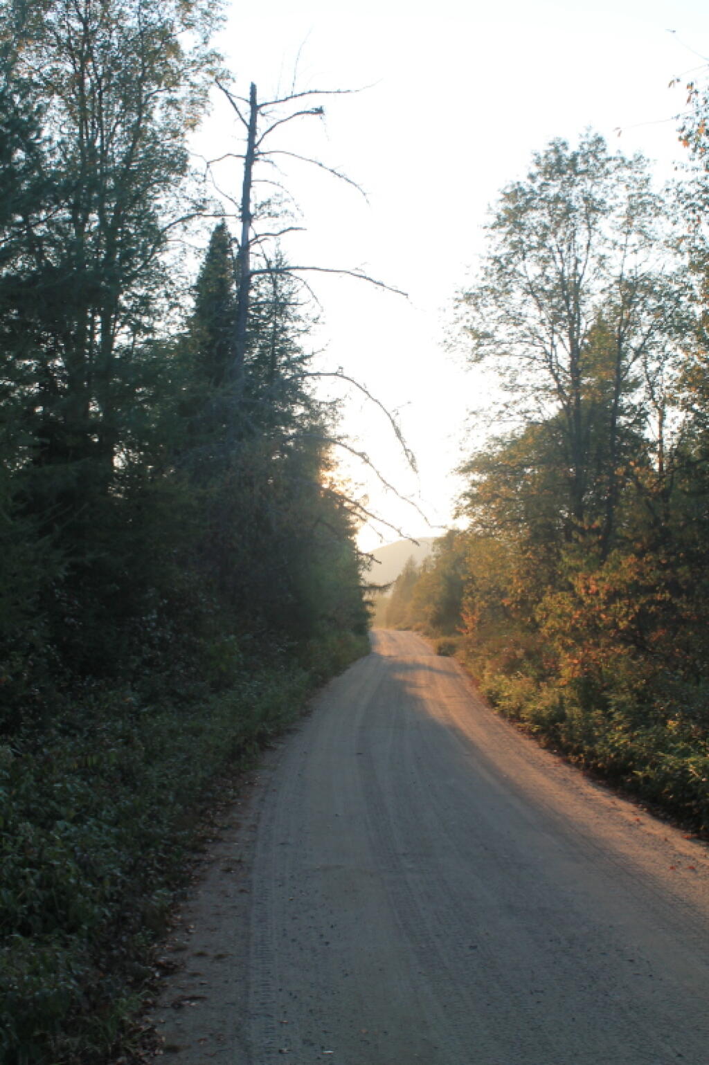 Photo: Walking Along the Road Photo: Walking Along the Road