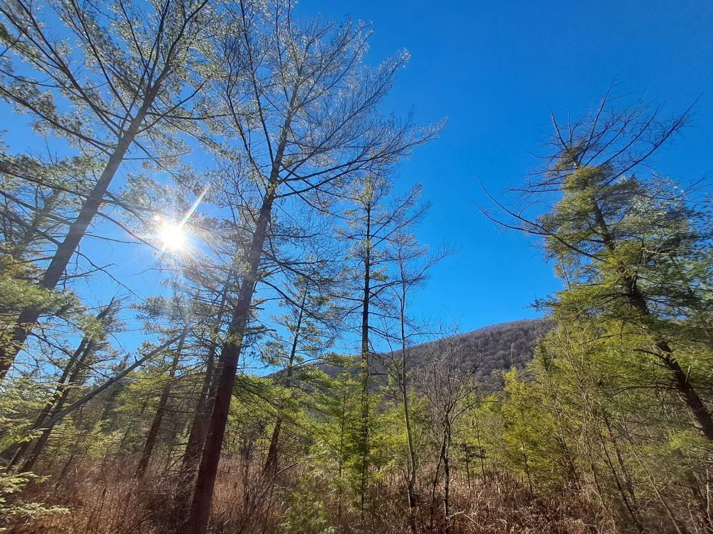 Photo: Untitled Photo: Untitled