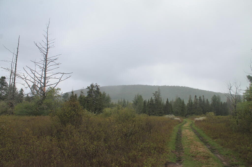 Photo: Rainy Day at Moose River Plains Photo: Rainy Day at Moose River Plains