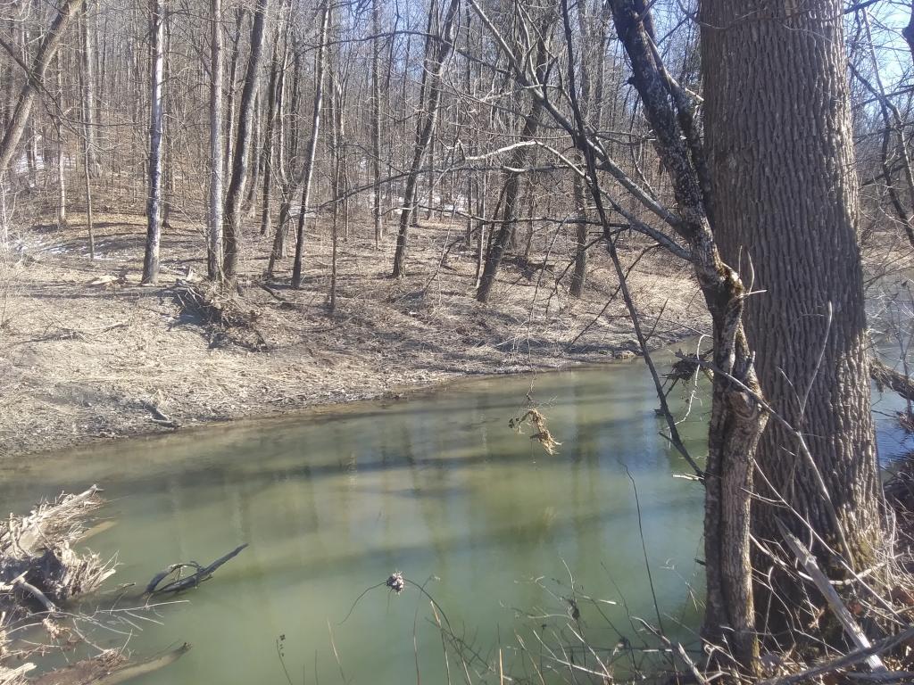 Photo: Coeymans Creek Photo: Coeymans Creek