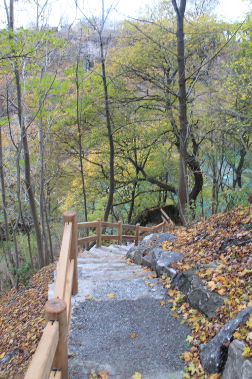Photo: New Trail Out of the Gorge Photo: New Trail Out of the Gorge