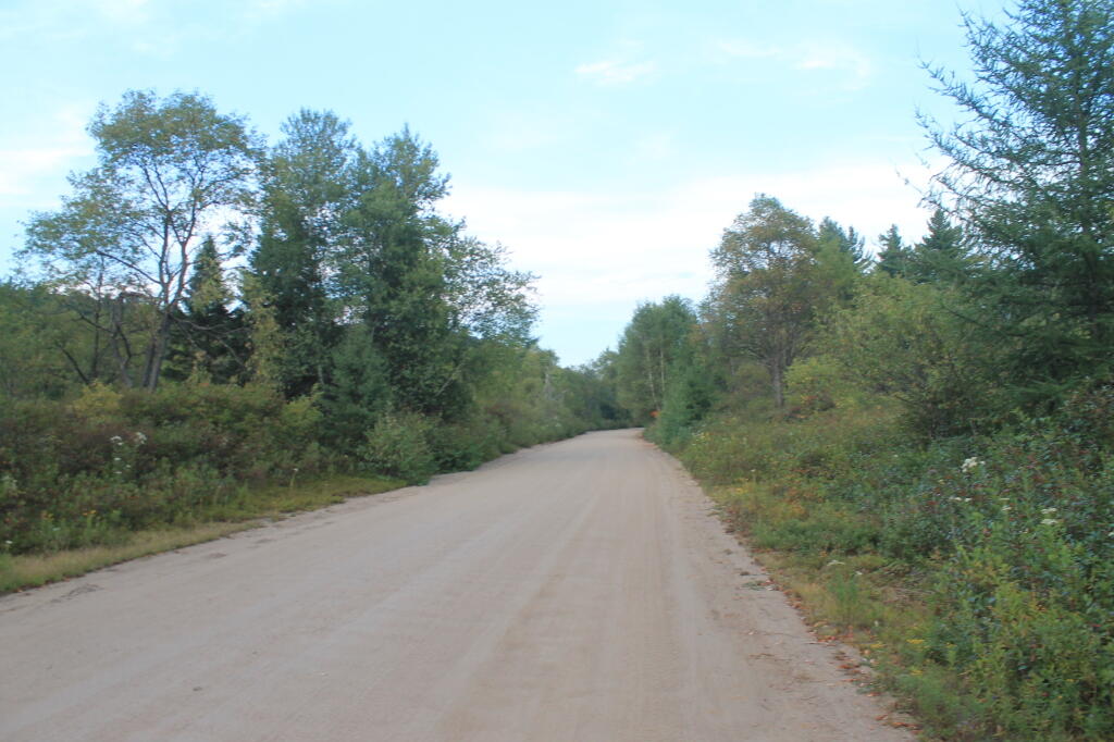 Photo: Moose River Plains Road Photo: Moose River Plains Road