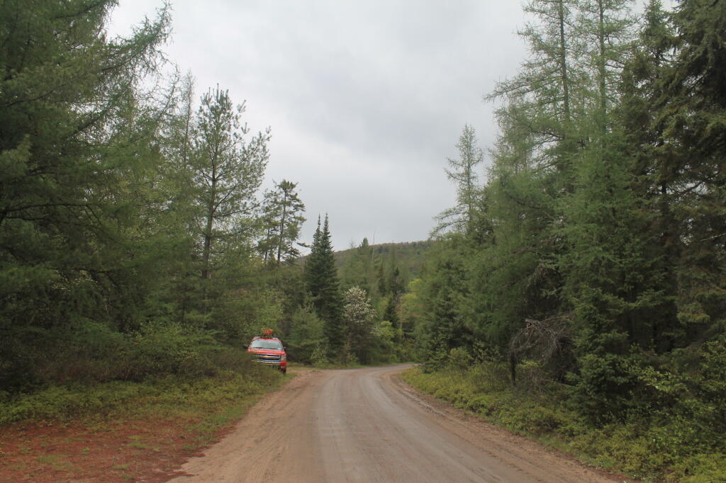 Photo: Off-the-Road Photo: Off-the-Road