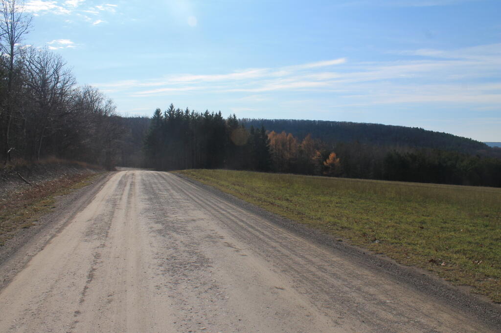 Photo: Tower Hill Road