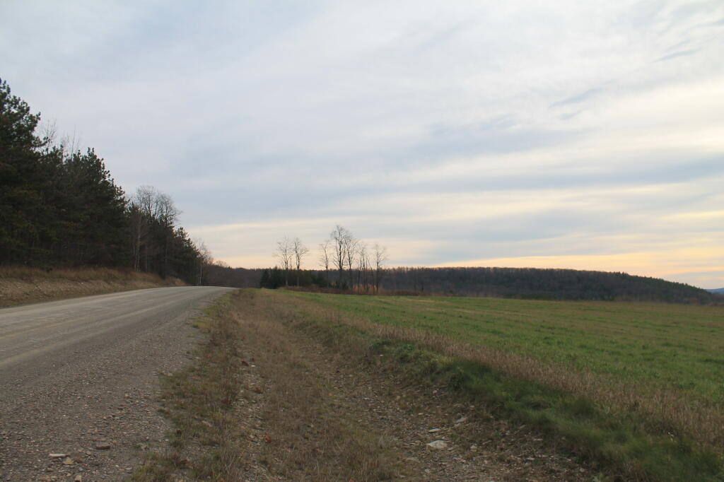 Photo: Tower Hill Road Photo: Tower Hill Road