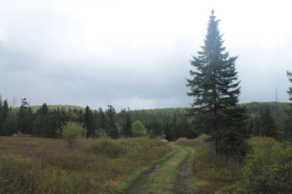 Photo: Along the Way Photo: Along the Way