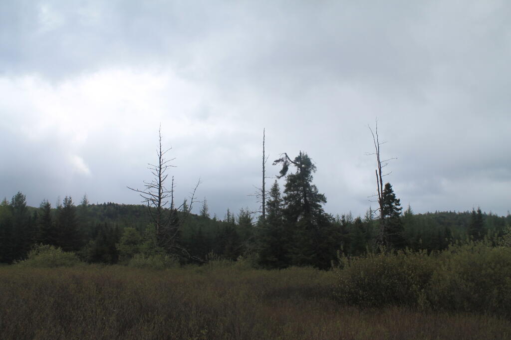 Photo: Three Spikes in the Plains Photo: Three Spikes in the Plains