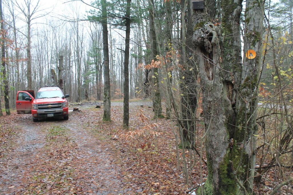 Photo: Campsite 10 Photo: Campsite 10