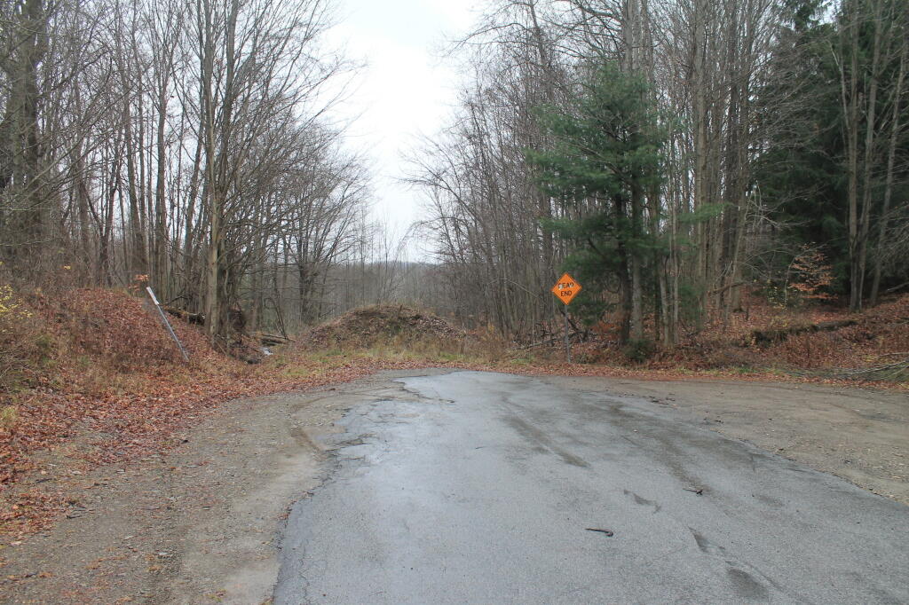 Photo: End of Forty Road Photo: End of Forty Road