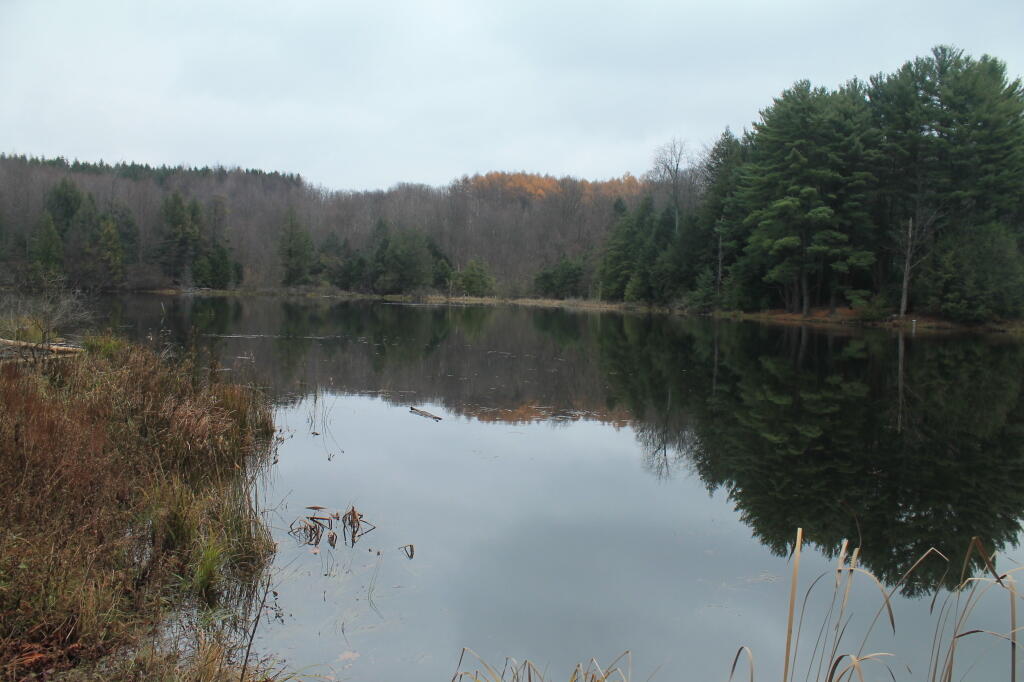 Photo: Reflect Photo: Reflect